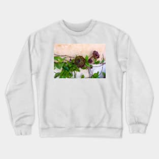 Aeonium arboreum 'Velour' flowers Crewneck Sweatshirt